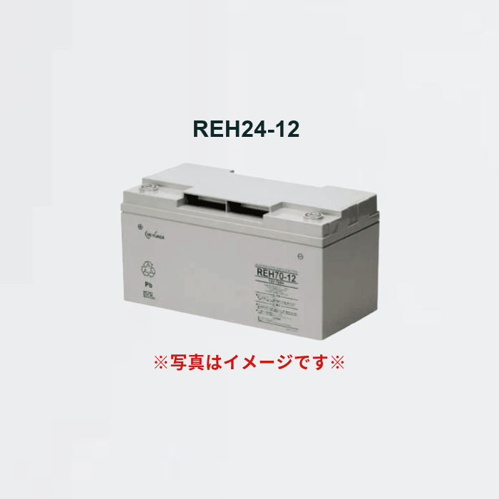 鉛蓄電池 REH24-12 (12V 24AH) - THE PROSUS SHOP