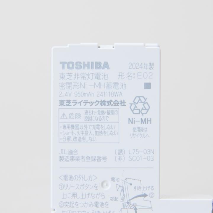 東芝製交換電池 E04(E02+E06) - THE PROSUS SHOP