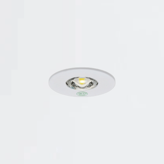 電源別置型非常照明 LEDDM50101