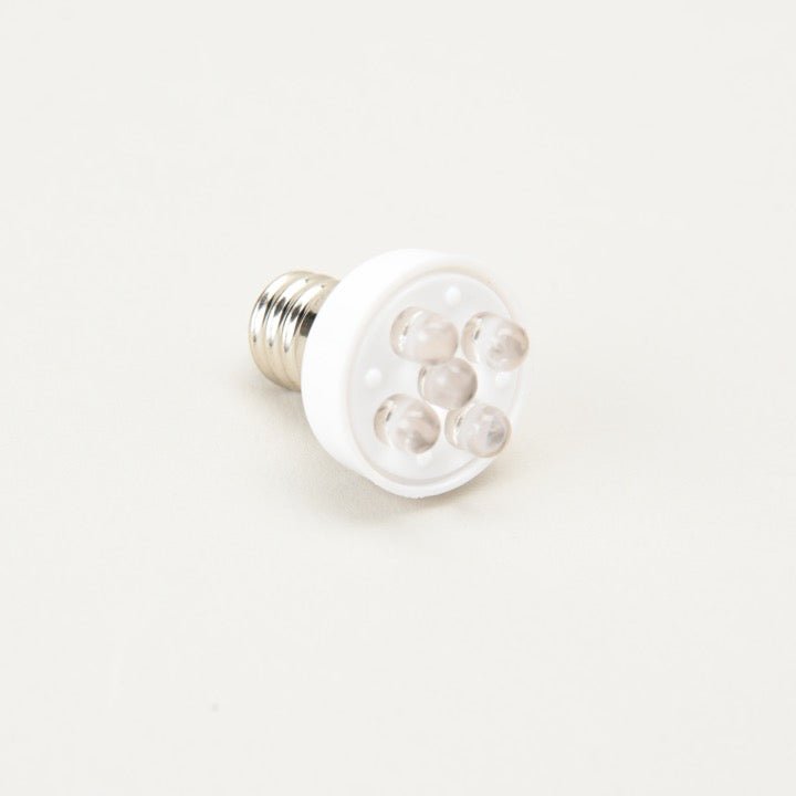 LED(ダイオード)電球 30V - THE PROSUS SHOP