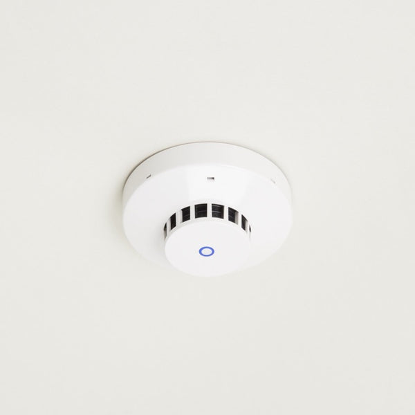 1123_01-1_grande.jpg?v=1719280738