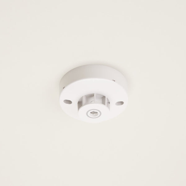 1291_01-1_grande.jpg?v=1719280748