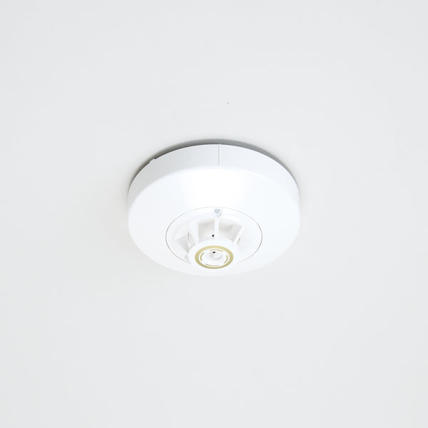 1751_01_grande.jpg?v=1738300895