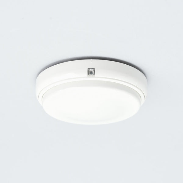 3001_01-1_grande.jpg?v=1719280927