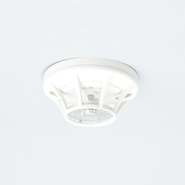 3003_01-1_grande.jpg?v=1719280934