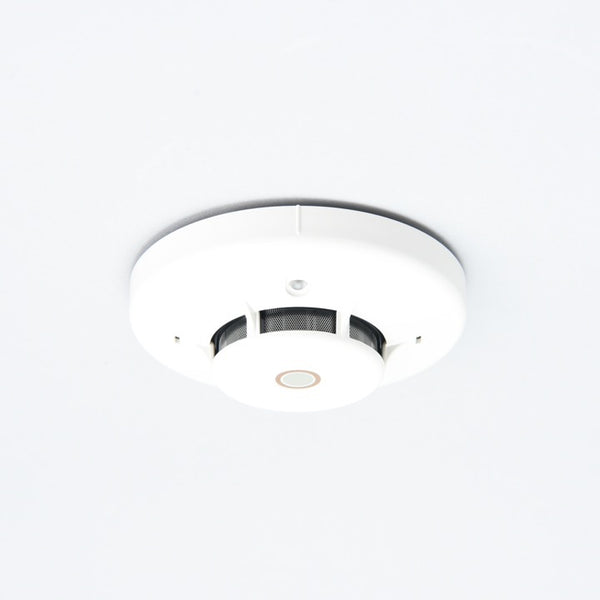 3203_01-1_grande.jpg?v=1719280941