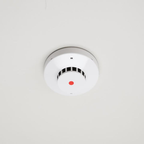 5011_01_grande.jpg?v=1719281156