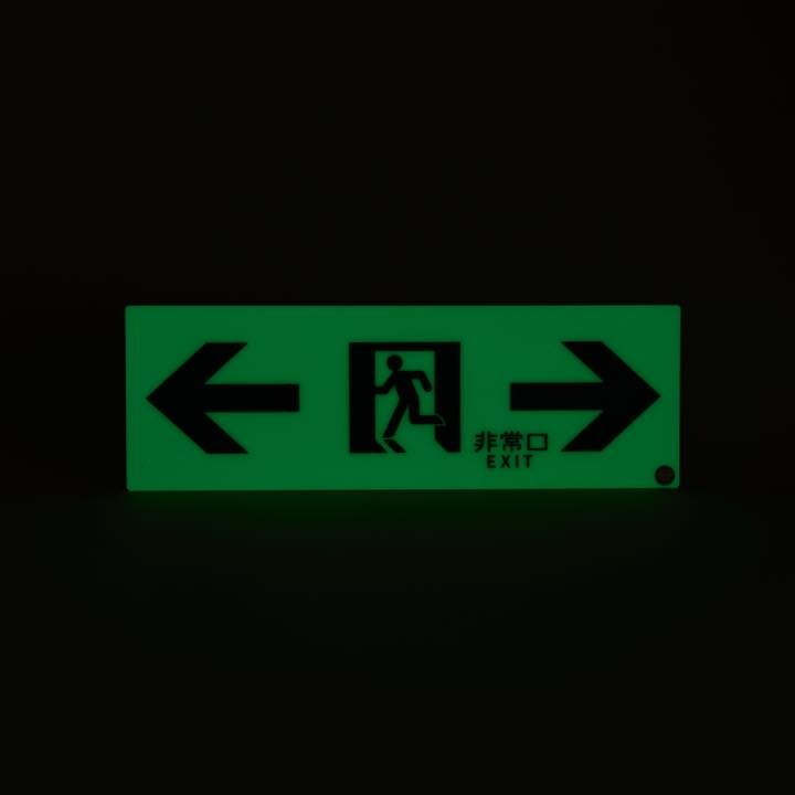 高輝度蓄光式誘導標識 通路両矢PSN903 - THE PROSUS SHOP